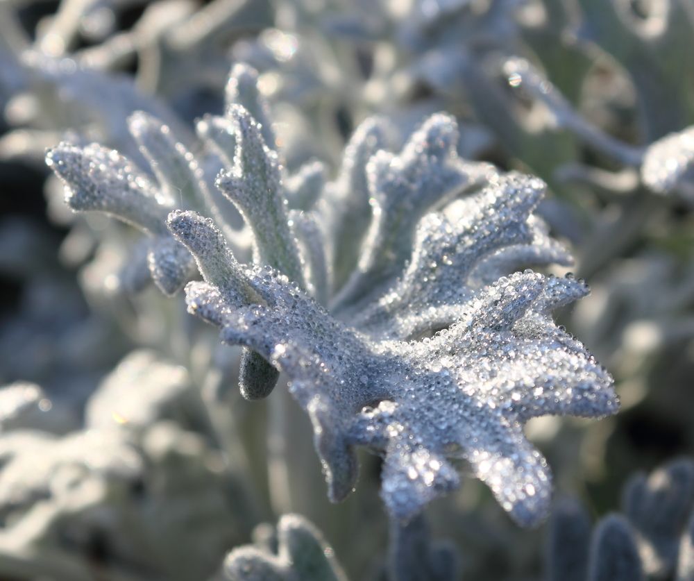 Фотография автора Кухта Мария