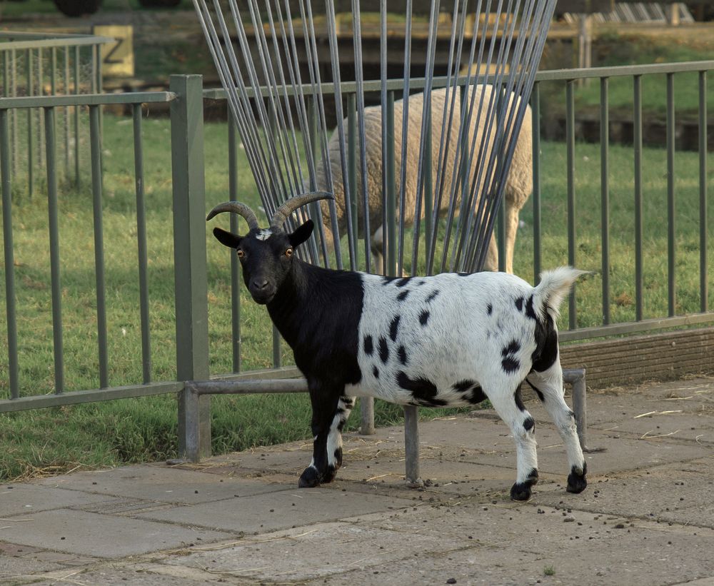 Photograph by Taтьяна Войлокова