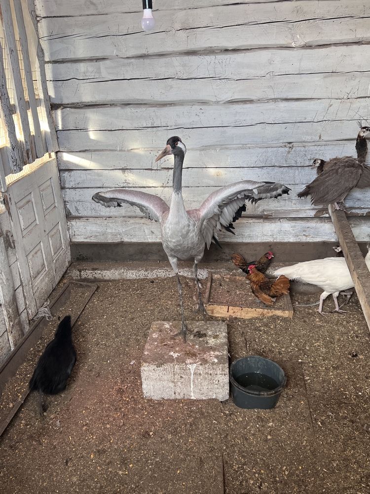 Photograph by Ольга Рачилова