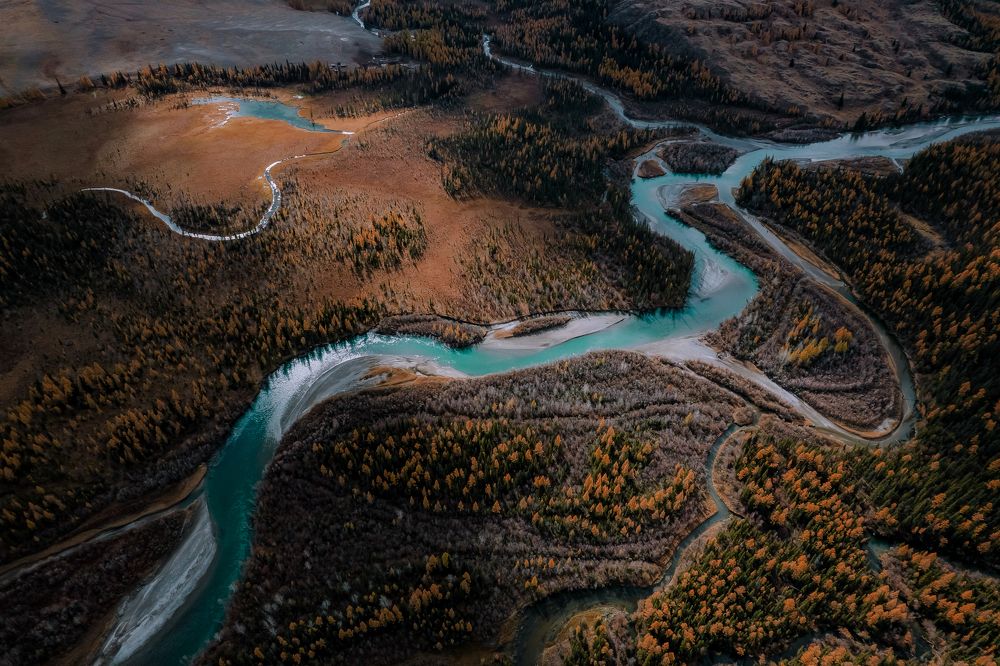 Photograph by Анастасия Сауль