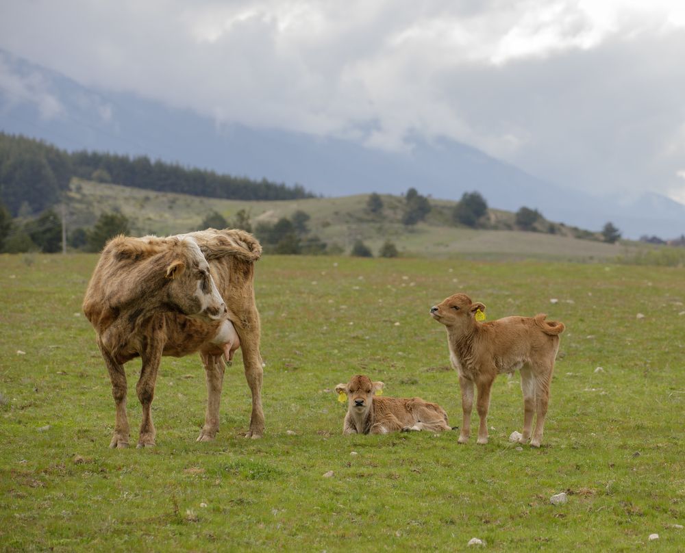 Photograph by Taтьяна Войлокова