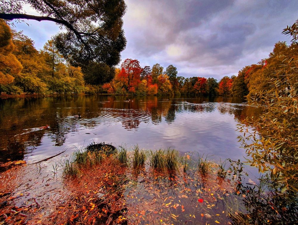 Дыхание осени.