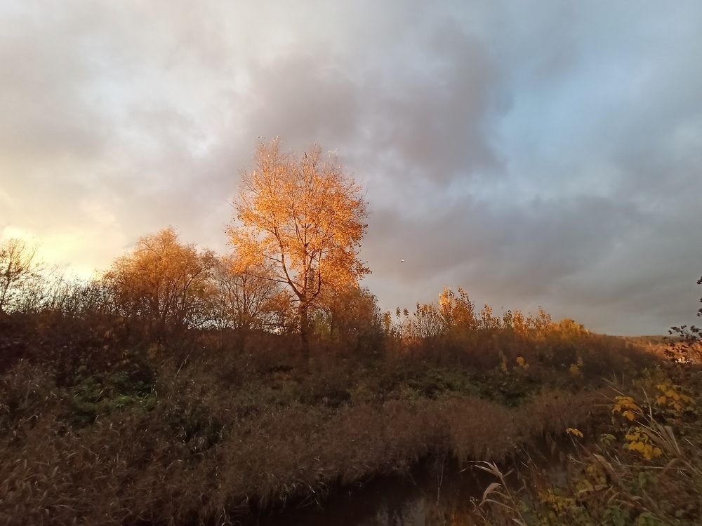 Фотография автора Александр Осинцев