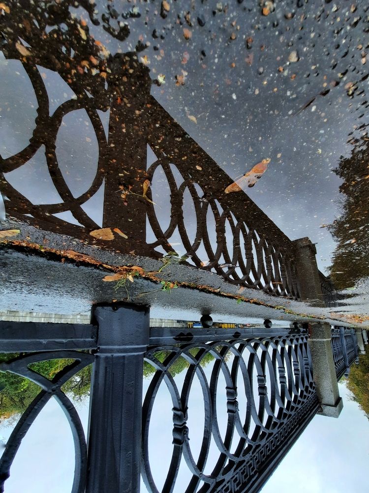 Photograph by Ирина Заворуева