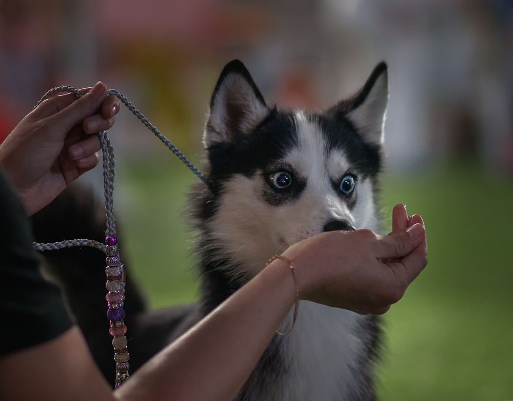 Photograph by Людмила Подольская