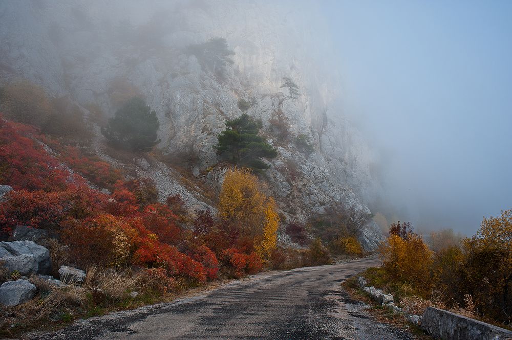 Photograph by Елена