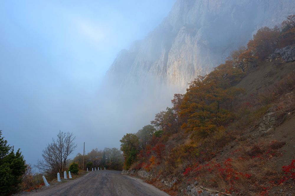 Photograph by Елена