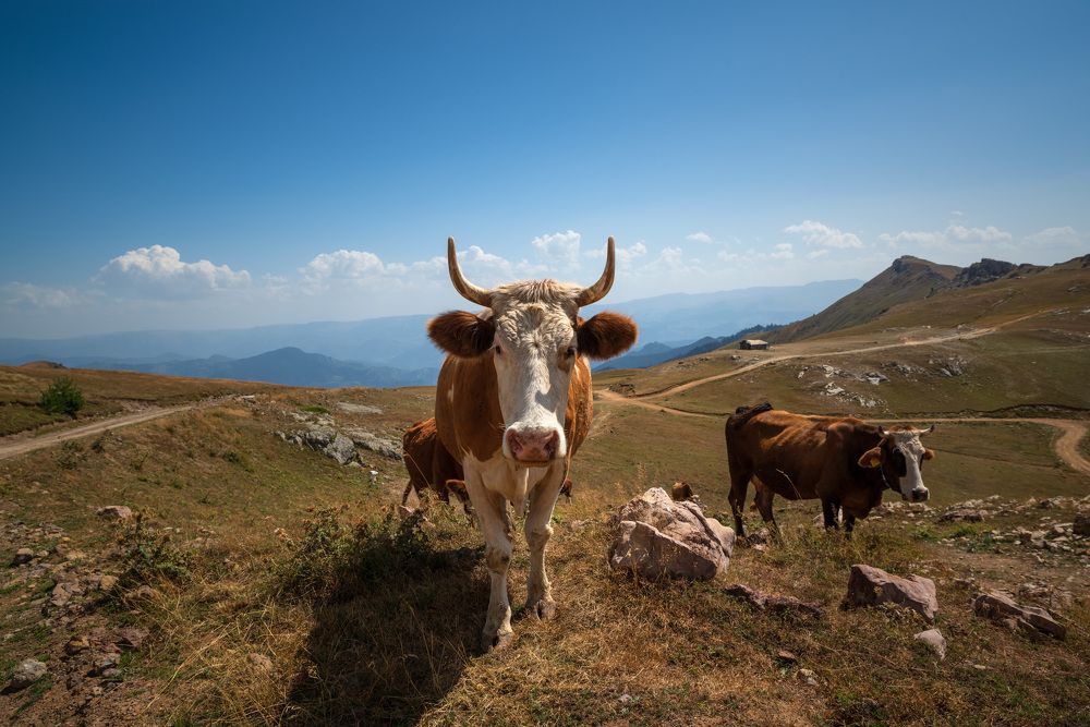 Photograph by Ольга Рагинская
