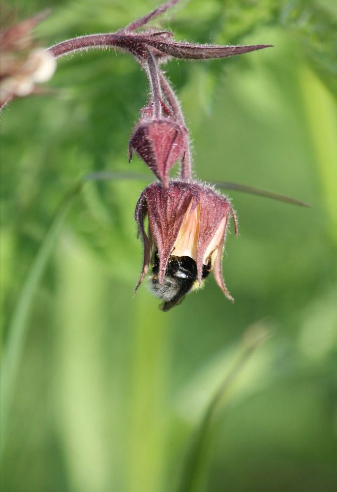 Photograph by Ольга Щеткина
