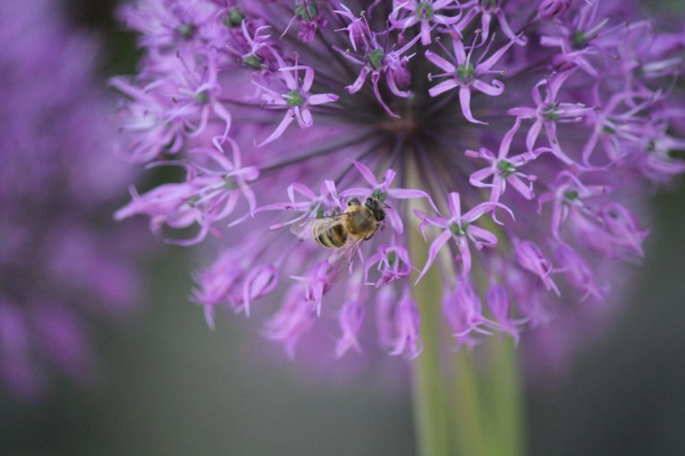 Photograph by Ольга Щеткина