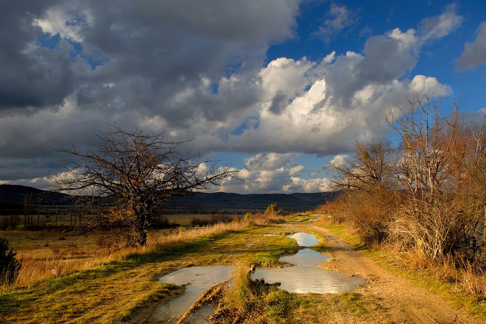 Photograph by Елена