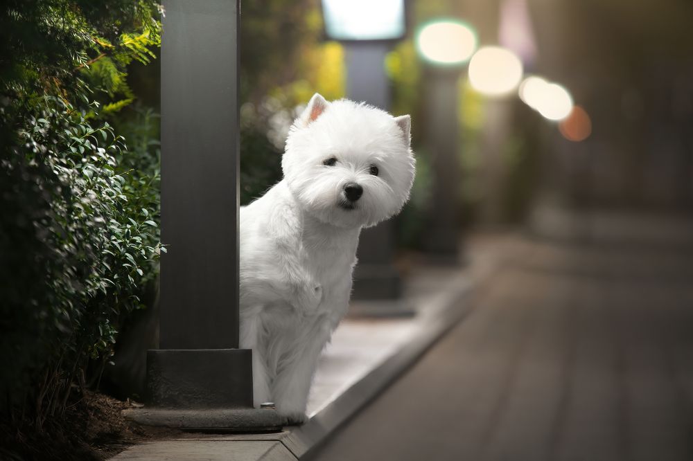 Photograph by Anna Oris