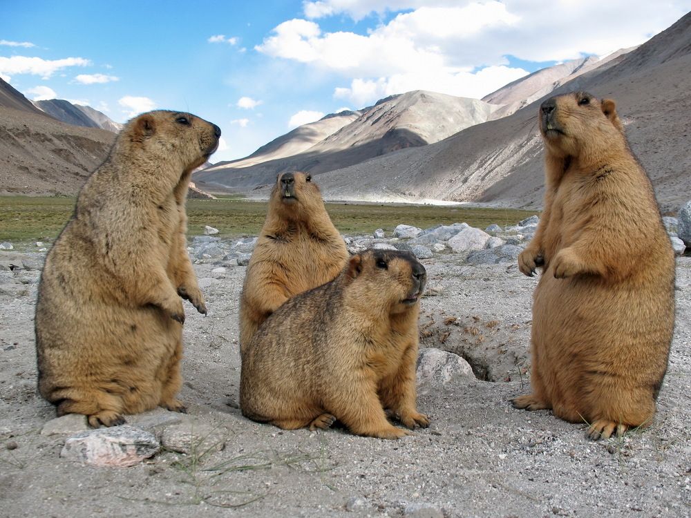 Photograph by Svetlana Dorokhova