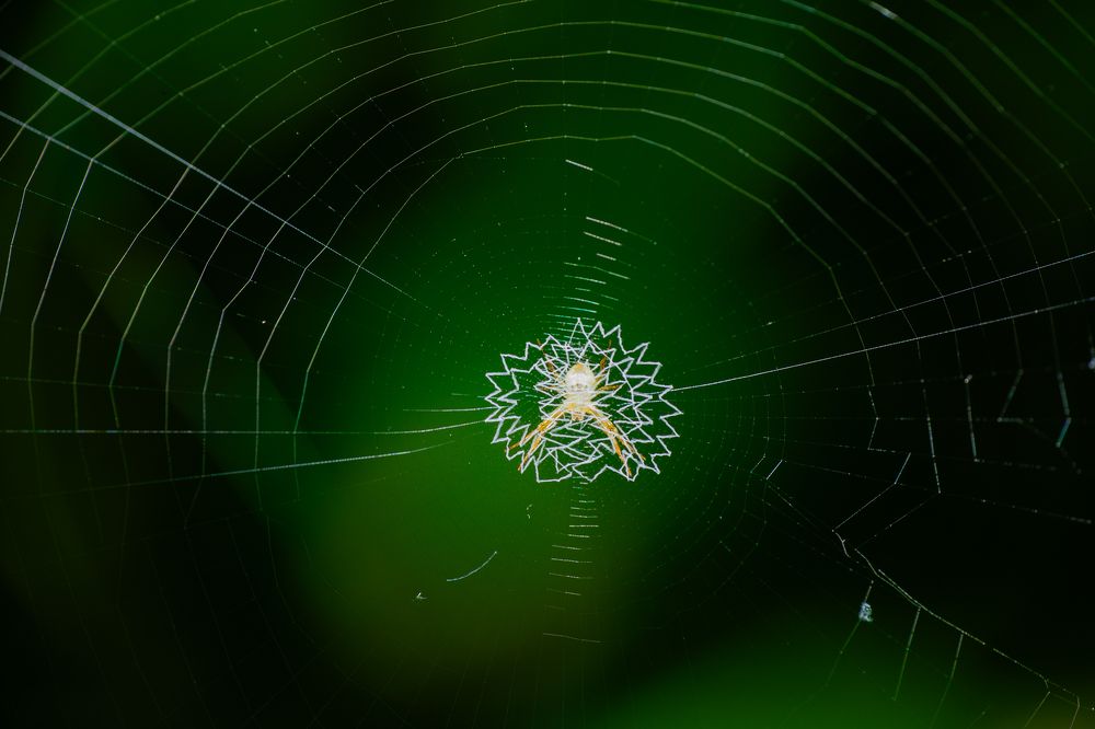 Photograph by Sangeetha Damodaran