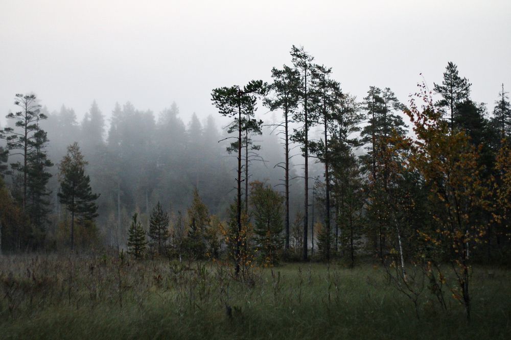 Photograph by МАРИНА