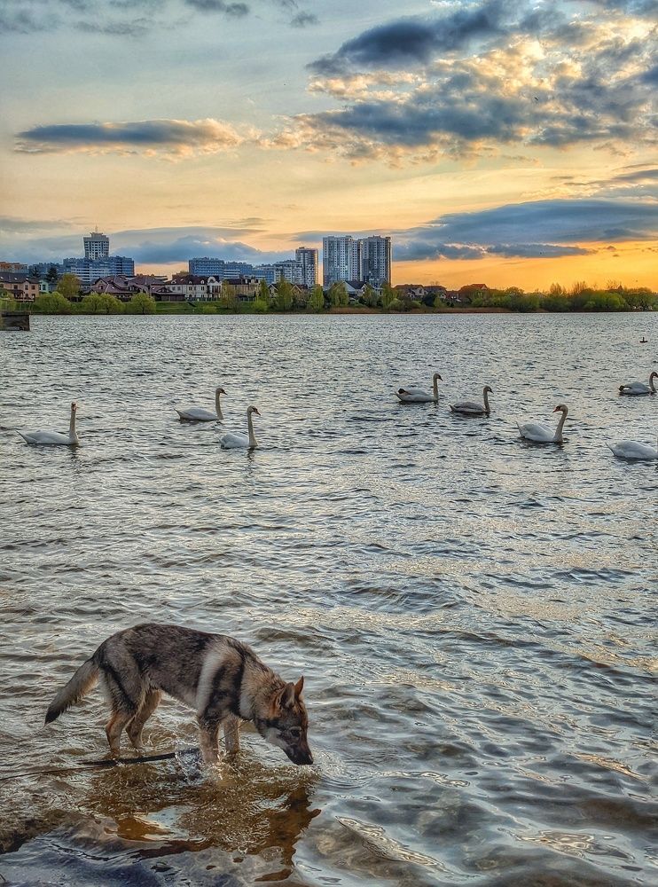 Photograph by Владимир Шаруба