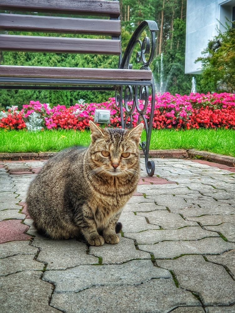 Photograph by Владимир Шаруба