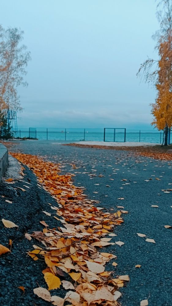 Photograph by Елена Кадаева