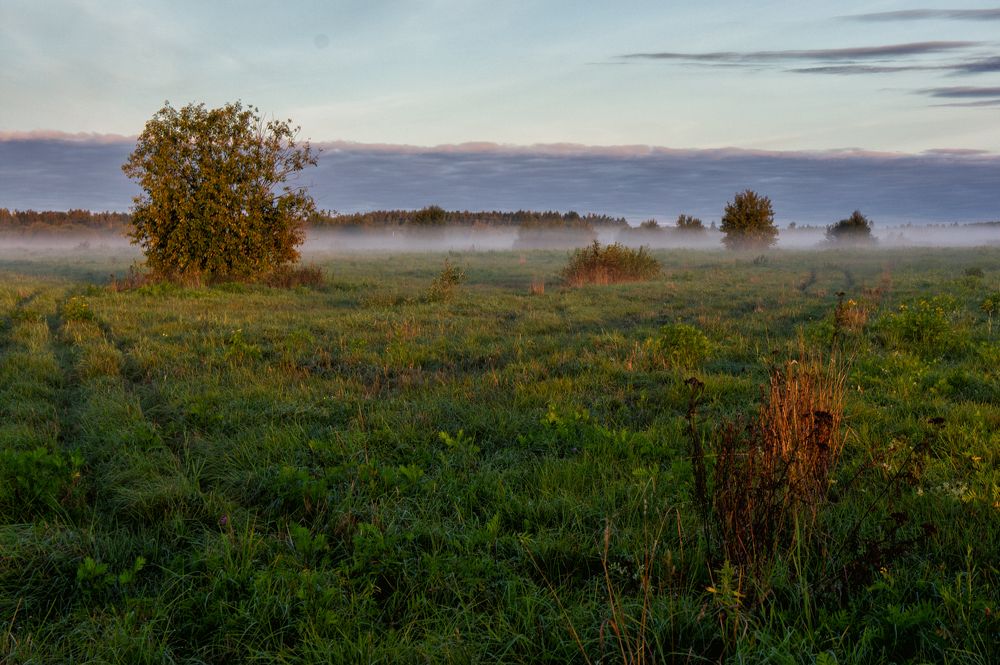 Photograph by Александр Колляков