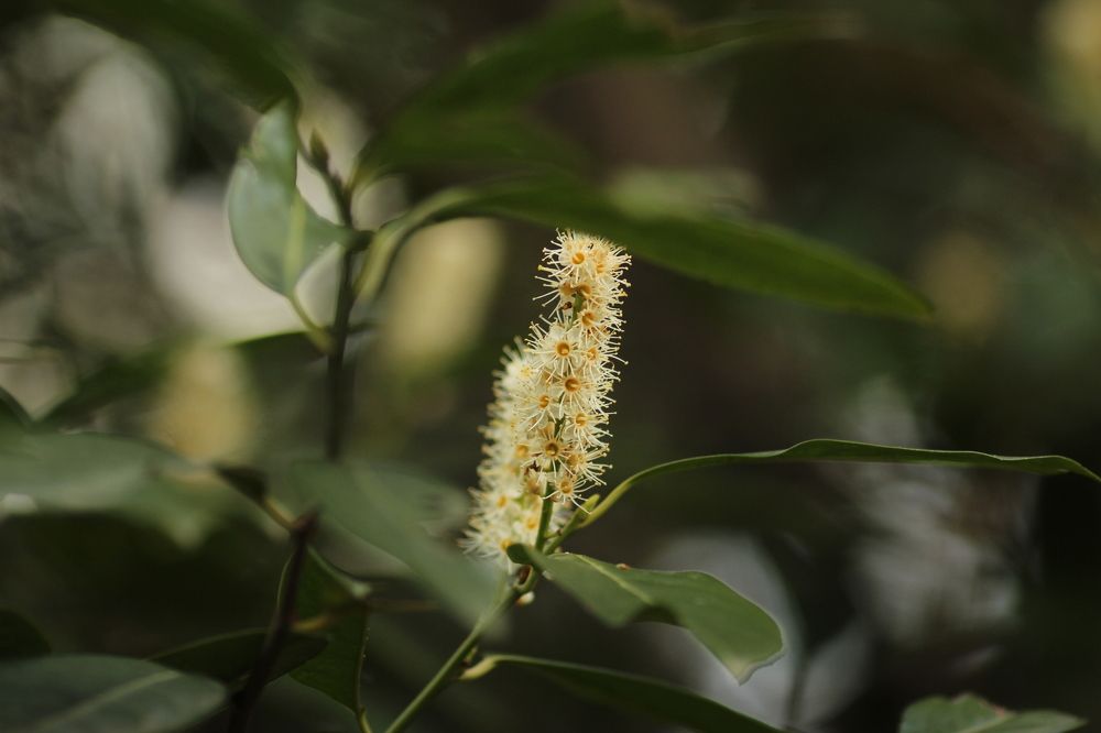 Photograph by Karina Kirichenko