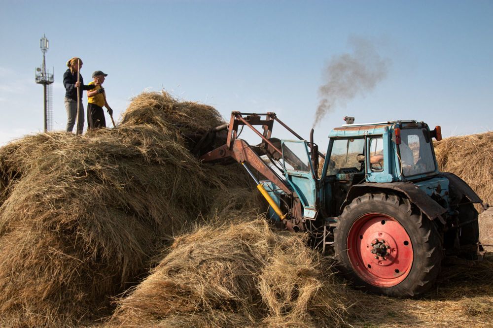 Photograph by Elizaveta Yasyuchenya