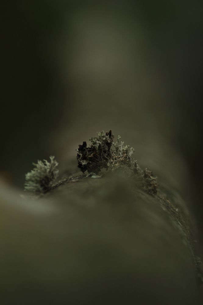 Photograph by Karina Kirichenko