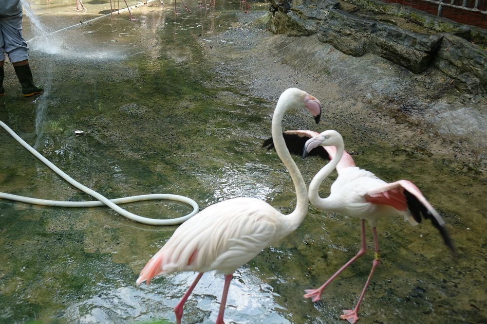 Photograph by Vy Van Bui