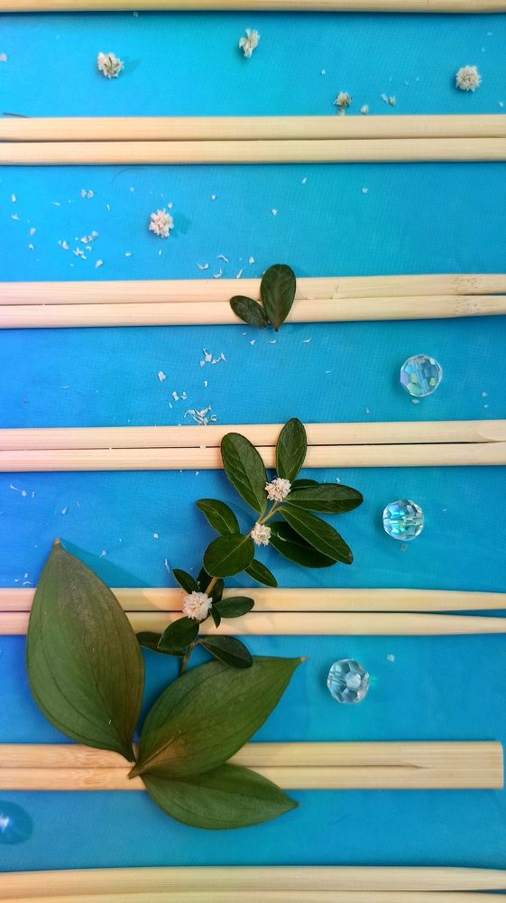 Photograph by Елена Кадаева