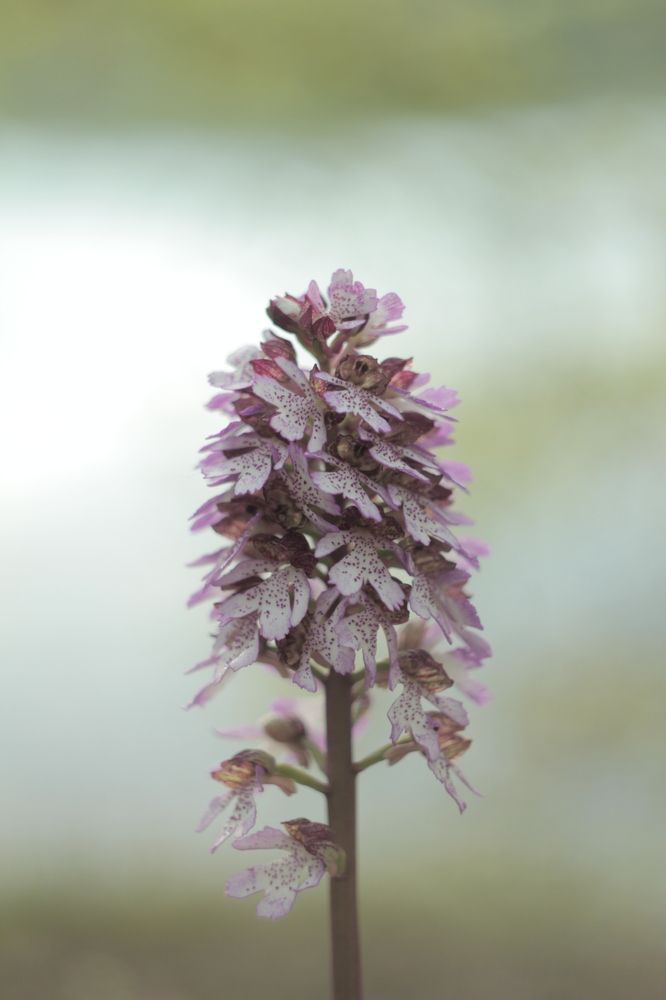 Photograph by Karina Kirichenko