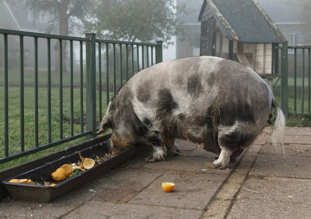 Photograph by Taтьяна Войлокова