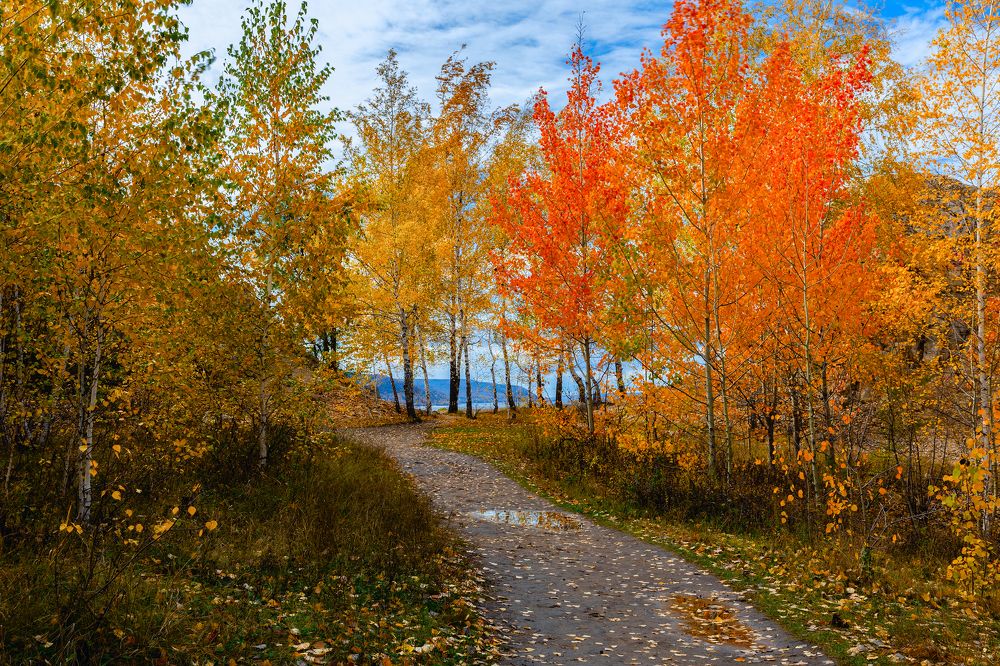 Осени ярких красок палитра