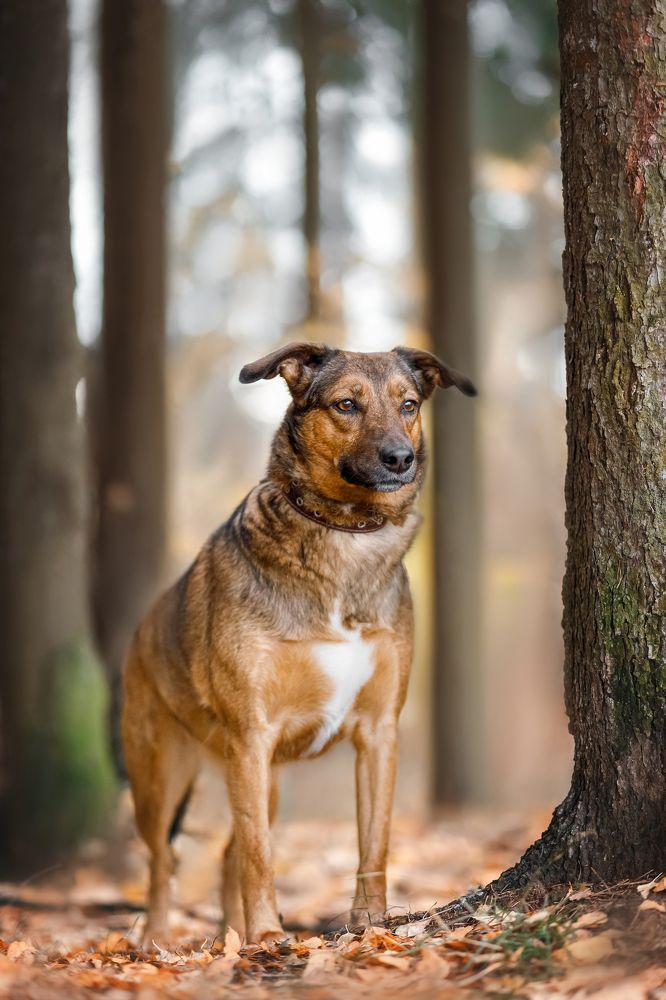 Фотография автора Татьяна Радусь