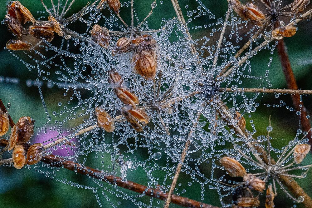 Photograph by Анастасия Глазюк