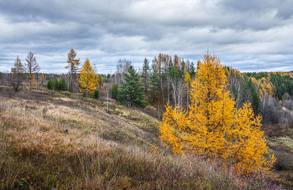 Photograph by Sergey L