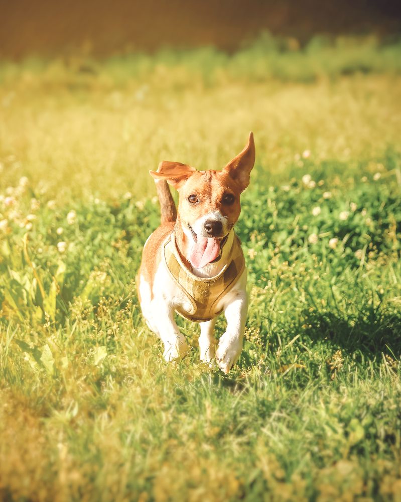 Photograph by Александр Гамалеев