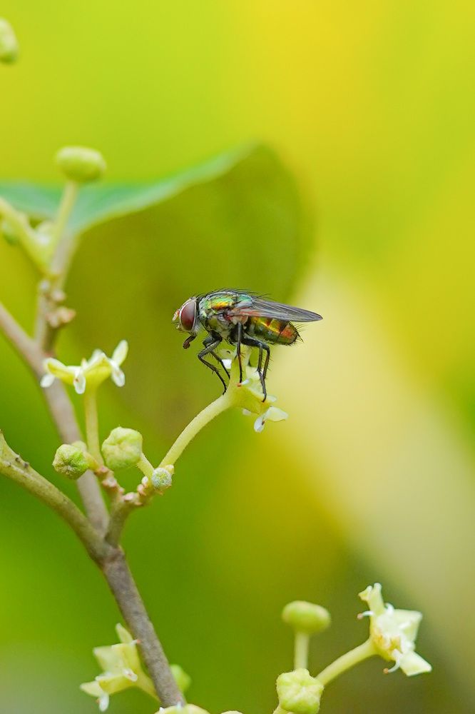 Photograph by Tharindu k