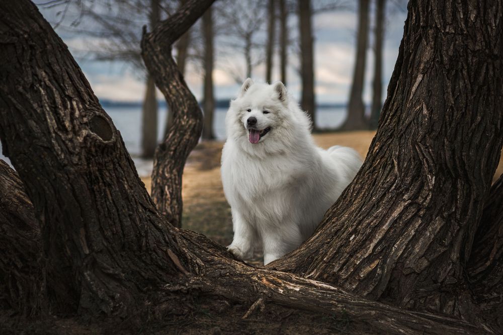 Фотография автора Татьяна Радусь