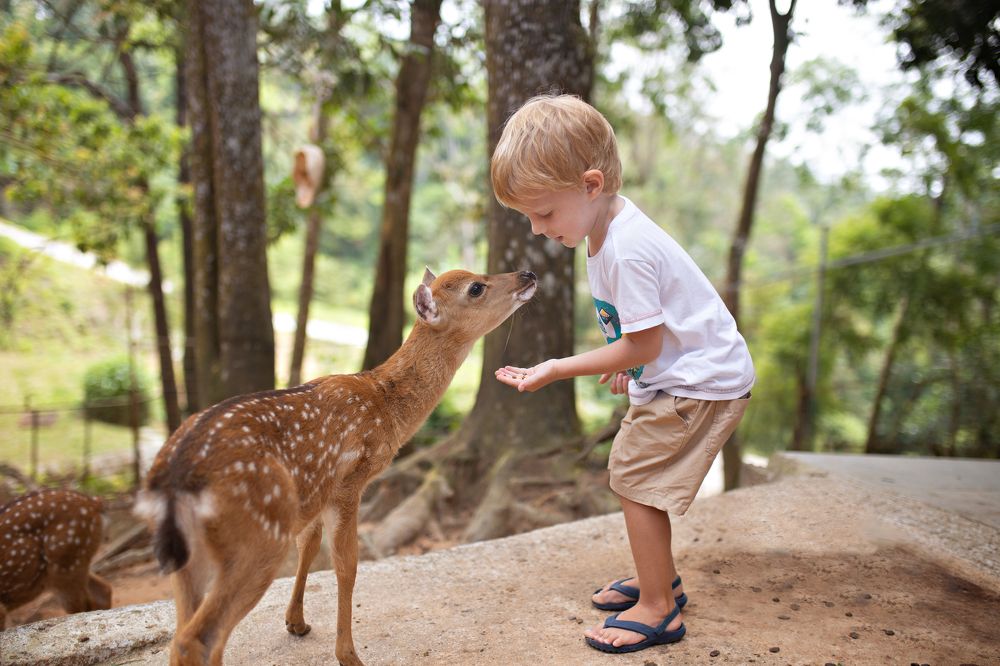 Photograph by Алена Федосова