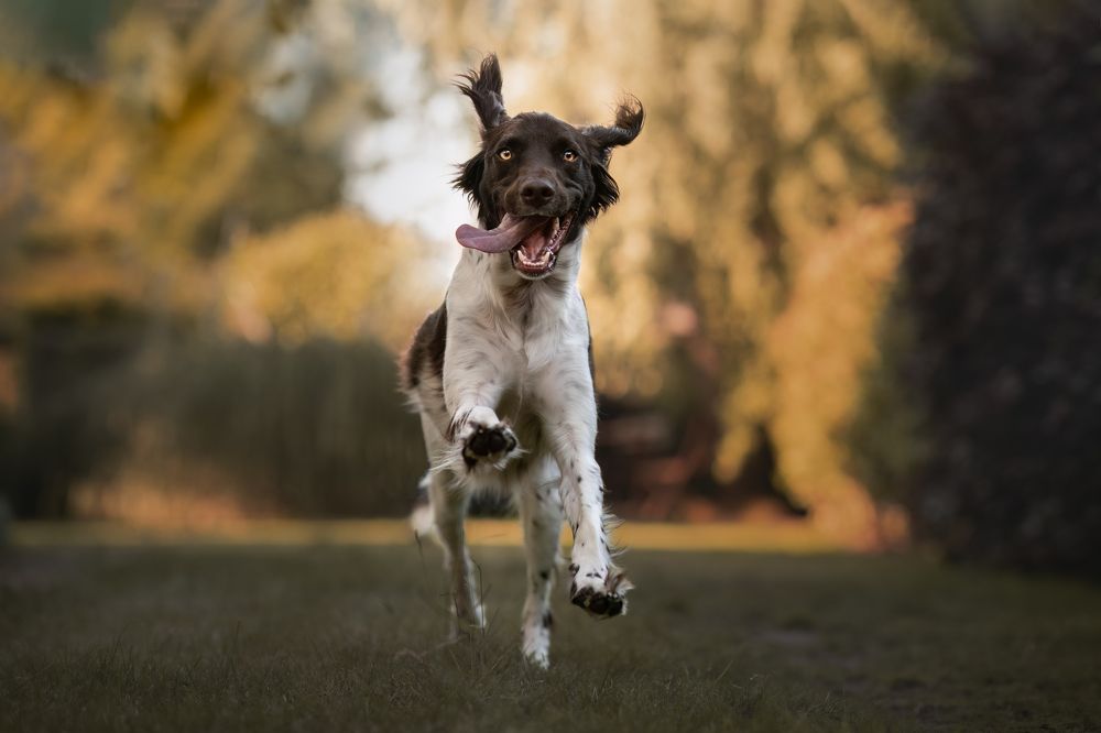 Photograph by By Meert Eline