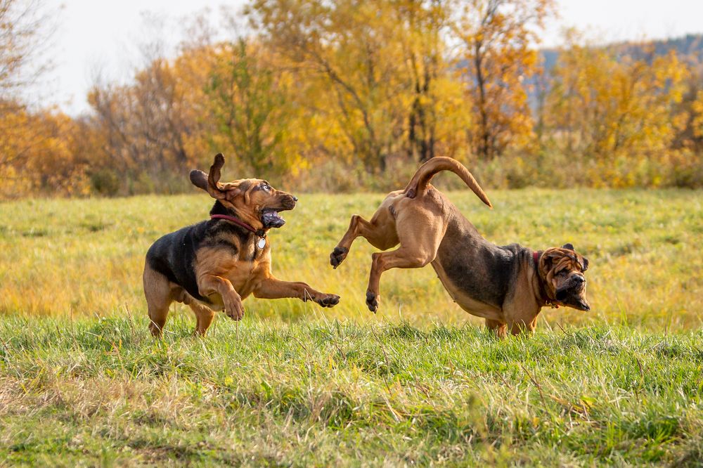 Фотография автора Евгения Глинская