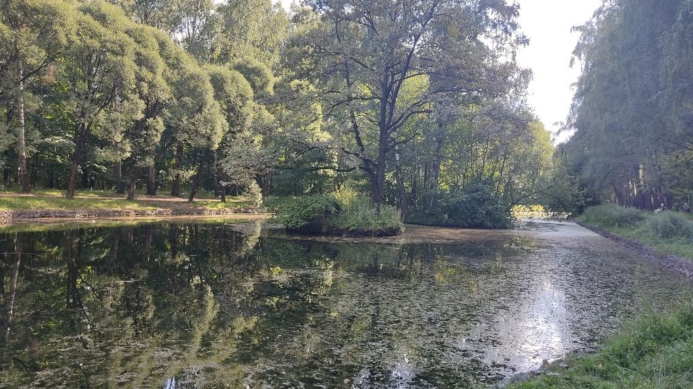 Фотография автора Кира Полотовская