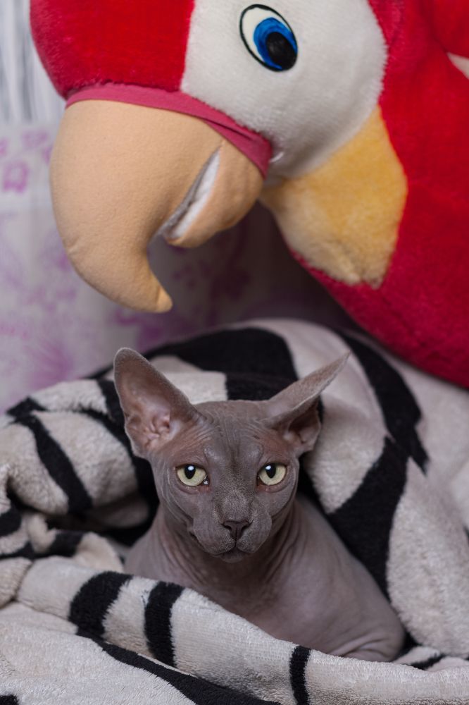 Photograph by Николай Травкин