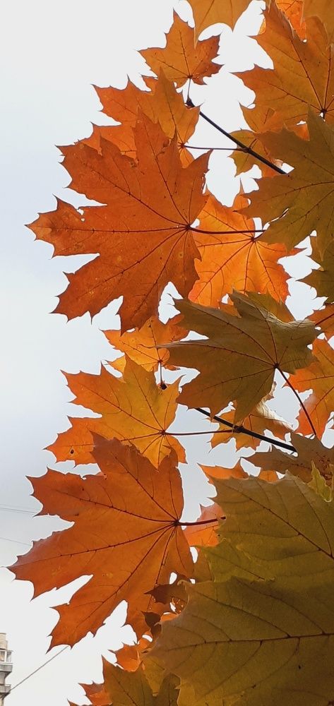 Photograph by Евгения Ульянова