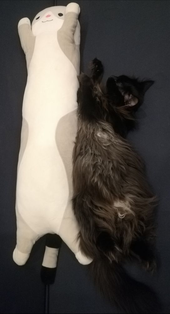 Photograph by Evgeniya Burkaeva