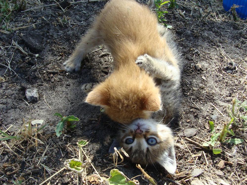 Фотография автора Павел Попов