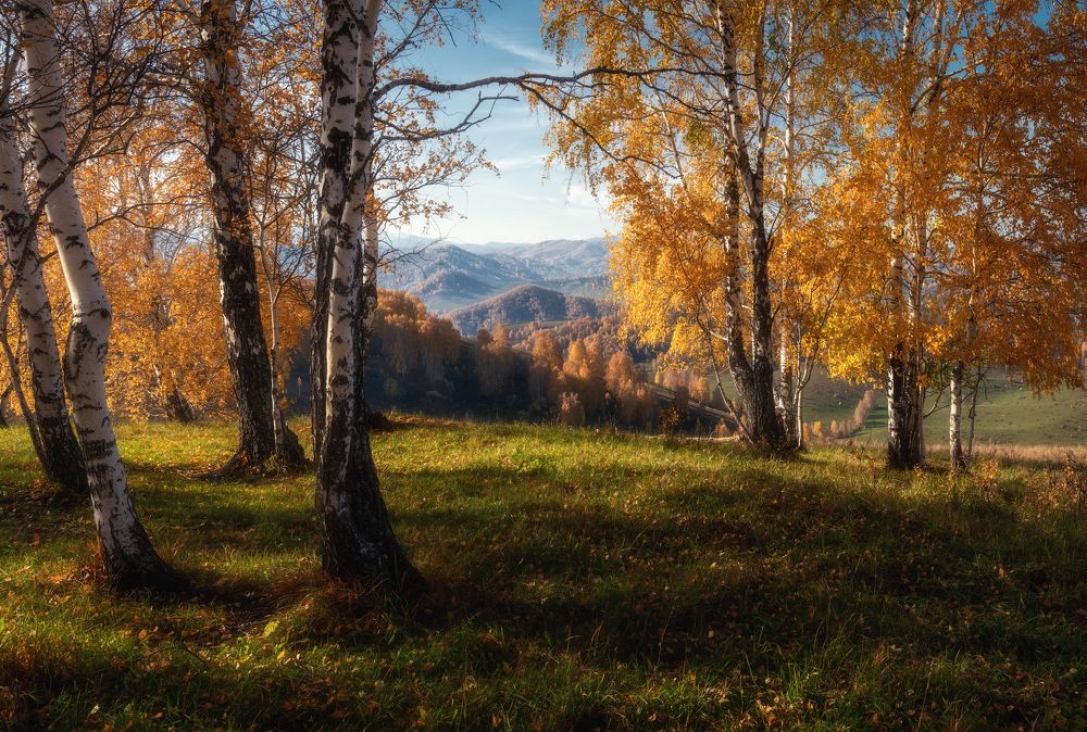 Photograph by Рубан Алена