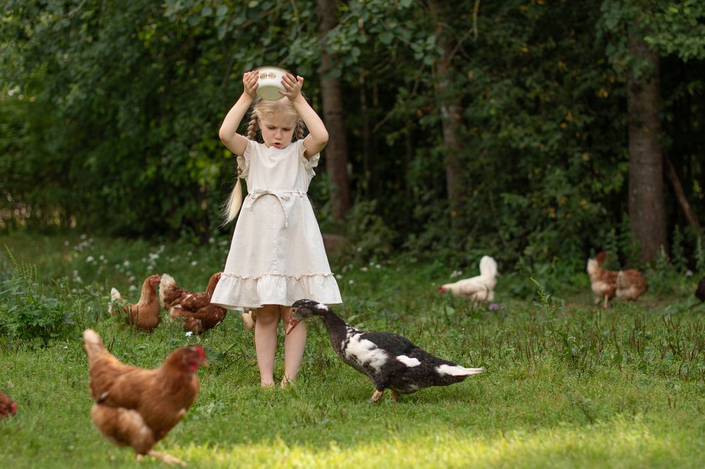 Фотография автора Светлана Дроголюбова