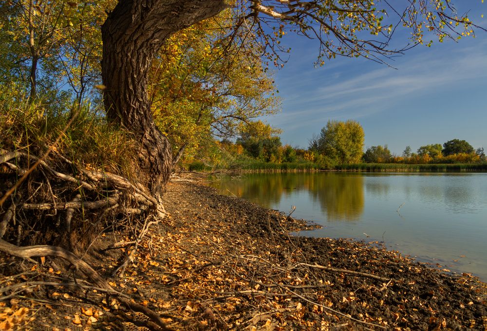 Photograph by Nastya Perekhodkina