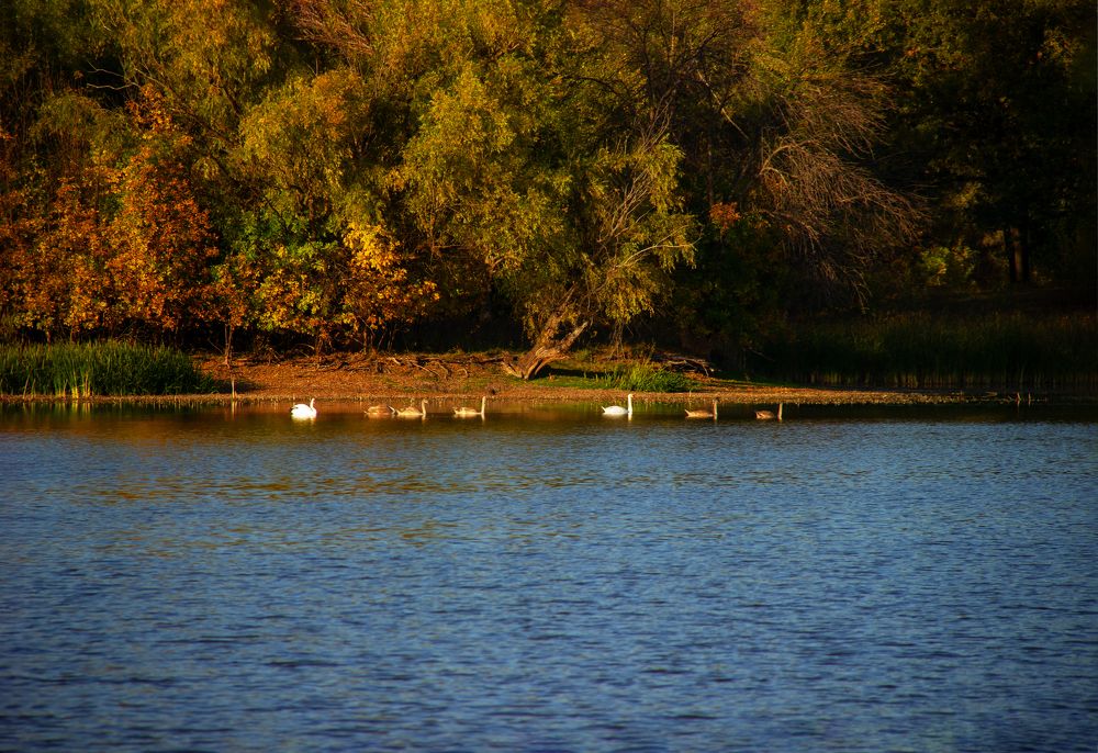 Photograph by Nastya Perekhodkina