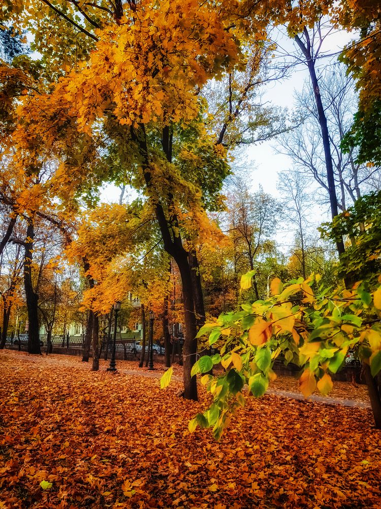 Photograph by arkadii Ануфриев